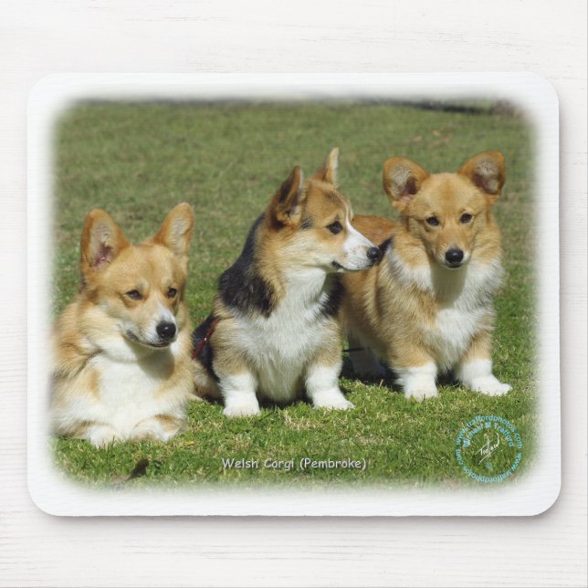 Welsh Corgi (Pembroke) Mouse Pad (Front)