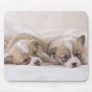 Welsh Corgi Puppies Mouse Pad