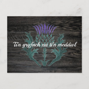 Welsh Cymraeg Encouragement Postcard