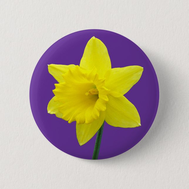 Welsh Daffodil - II 6 Cm Round Badge (Front)