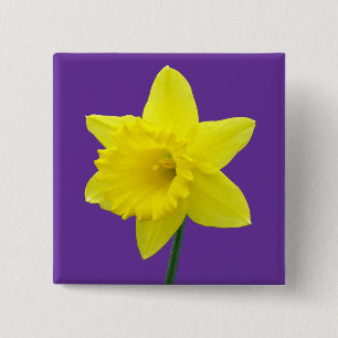 Welsh Daffodil - II - Square 15 Cm Square Badge