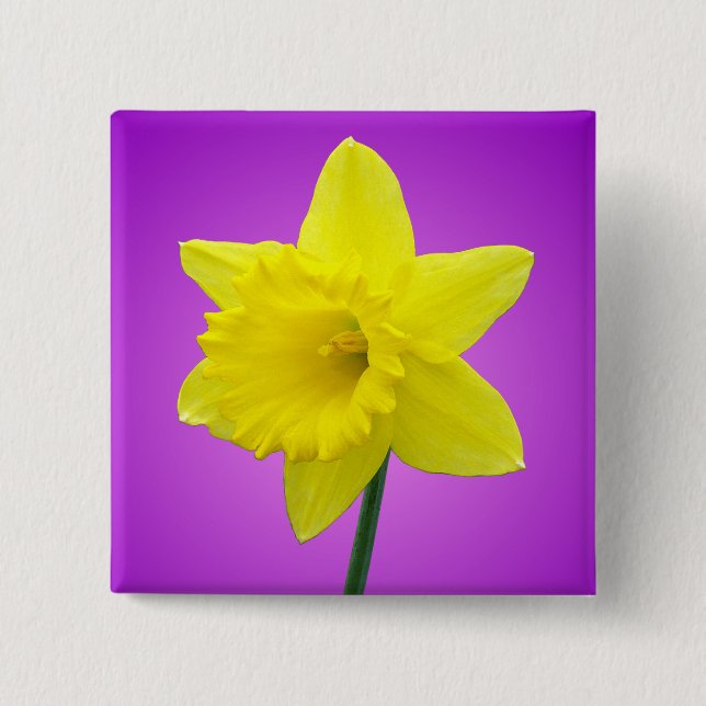 Welsh Daffodil - III 15 Cm Square Badge (Front)