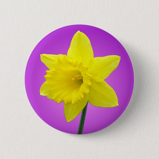 Welsh Daffodil - III - Round 6 Cm Round Badge (Front)
