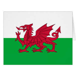 Welsh dragon flag