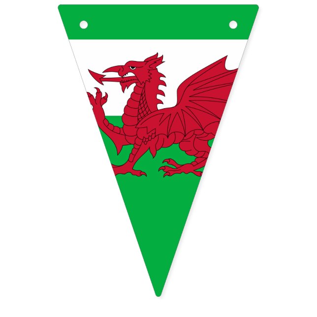 Welsh Dragon ~ Flag of Wales (First Flag)