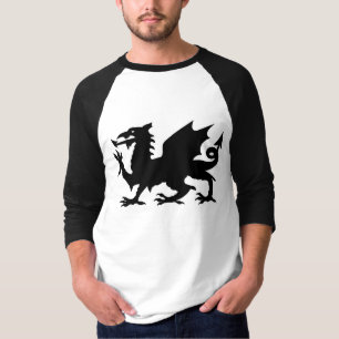 Welsh Dragon Flag, Wales Dragon Flag, England T-Shirt