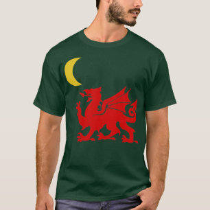 Welsh Dragon Moon T-Shirt