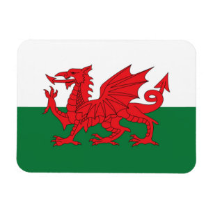 Welsh Flag Fridge Magnet