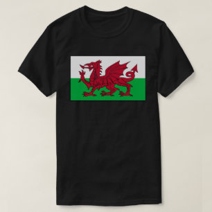 Welsh Flag Of Wales T-Shirt