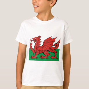 Welsh flag, wear it with pride T-Shirt