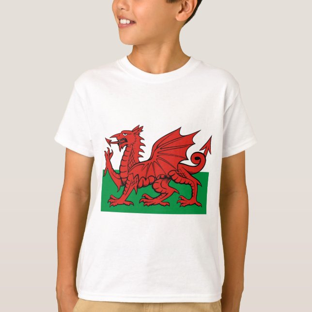 Welsh flag, wear it with pride T-Shirt (Front)