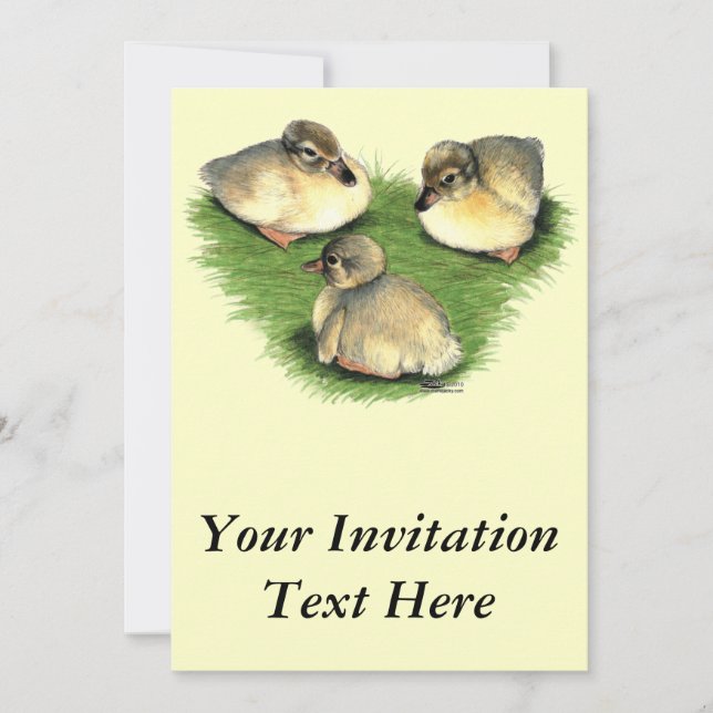 Welsh Harlequin Ducklings Invitation (Front)