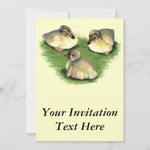 Welsh Harlequin Ducklings Invitation
