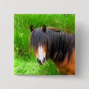 WELSH MOUNTAIN PONY 15 CM SQUARE BADGE