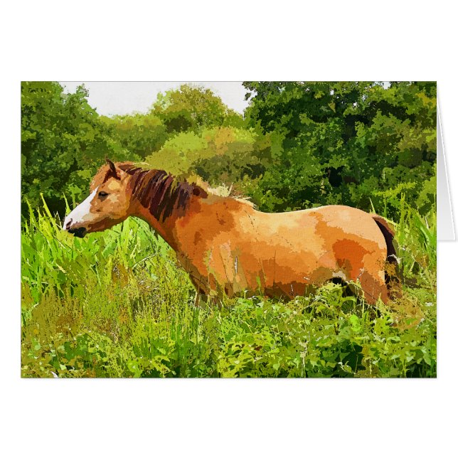 WELSH MOUNTAIN PONY Card (Front Horizontal)