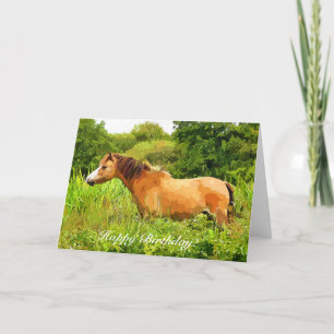 WELSH MOUNTAIN PONY CARD