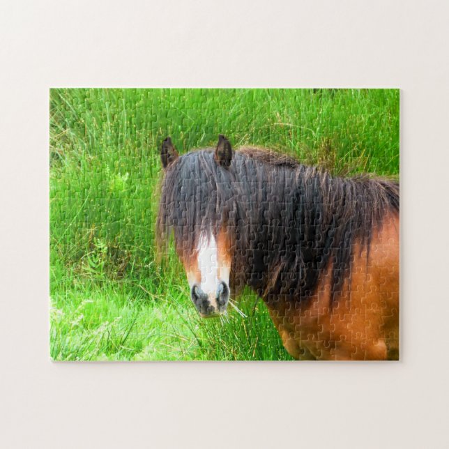 WELSH MOUNTAIN PONY JIGSAW PUZZLE (Horizontal)