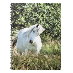 WELSH MOUNTAIN PONY NOTEBOOK
