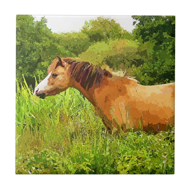 WELSH MOUNTAIN PONY TILE (Front)