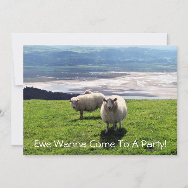 WELSH MOUNTAIN SHEEP INVITATION (Front)