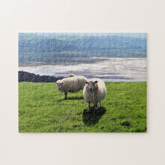 WELSH MOUNTAIN SHEEP JIGSAW PUZZLE (Horizontal)