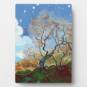 WELSH MOUNTAIN  TREE PLAQUE