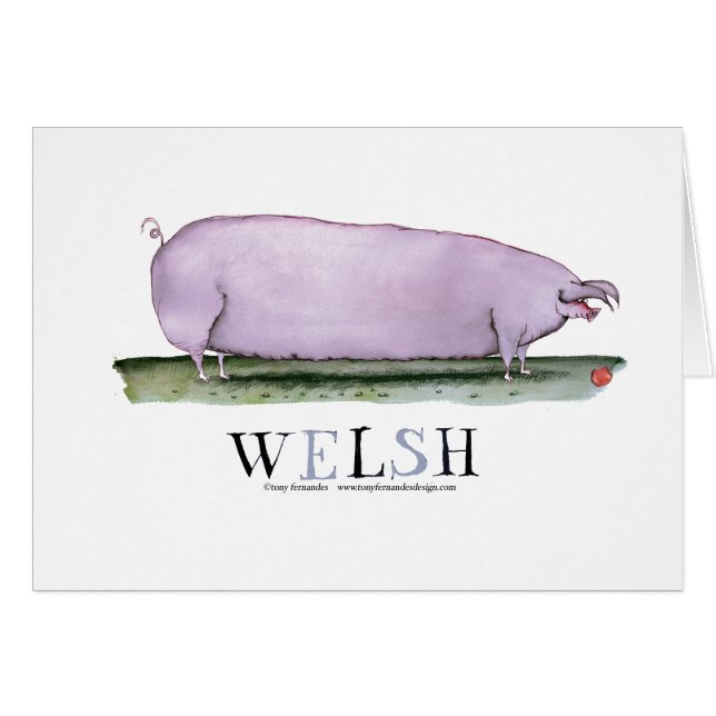 welsh pig, tony fernandes (Front Horizontal)