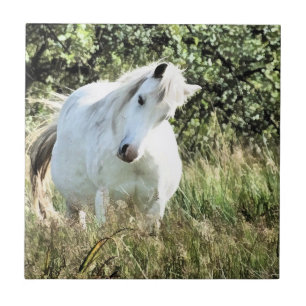 WELSH PONY CERAMIC TILE