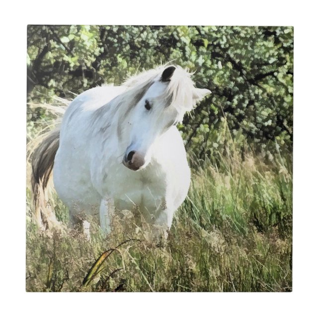 WELSH PONY CERAMIC TILE (Front)