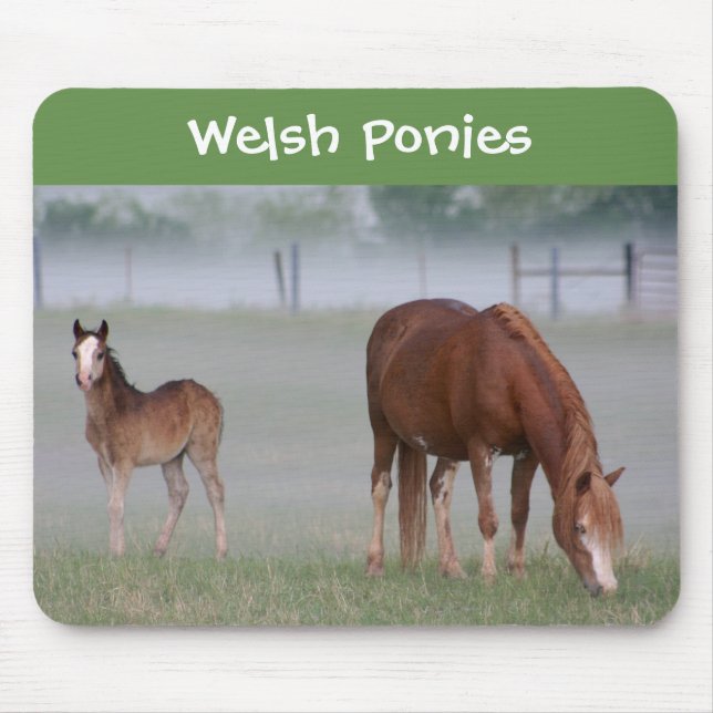 Welsh Pony Mouse Pad (Front)