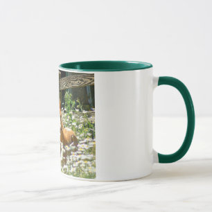 Welsh pony mug