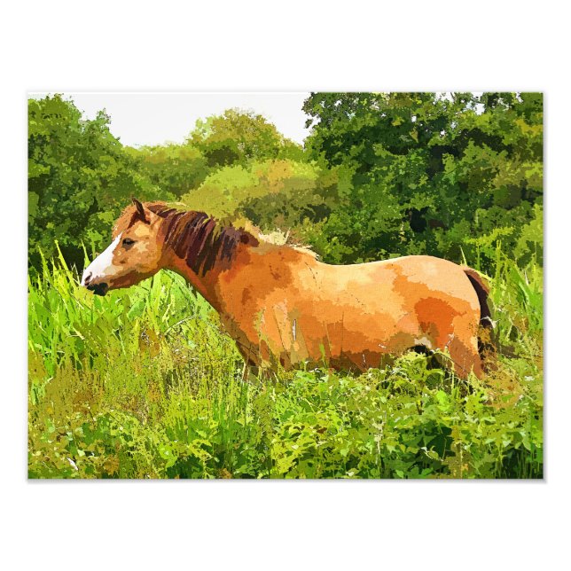 WELSH PONY PHOTO PRINT (Front)