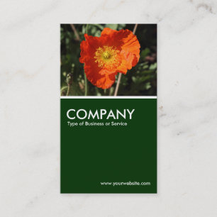 Welsh Poppy - Dark Green Business Card
