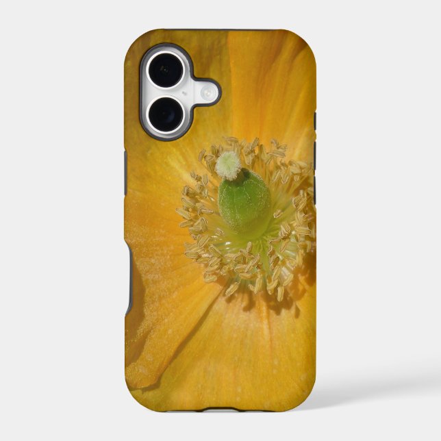 Welsh Poppy Macro (Back)