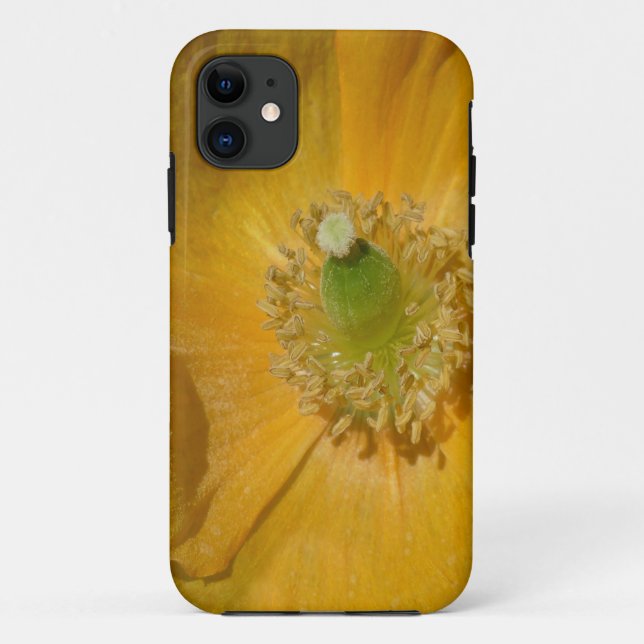 Welsh Poppy Macro Case-Mate iPhone Case (Back)