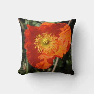 Welsh Poppy (Orange) Cushion