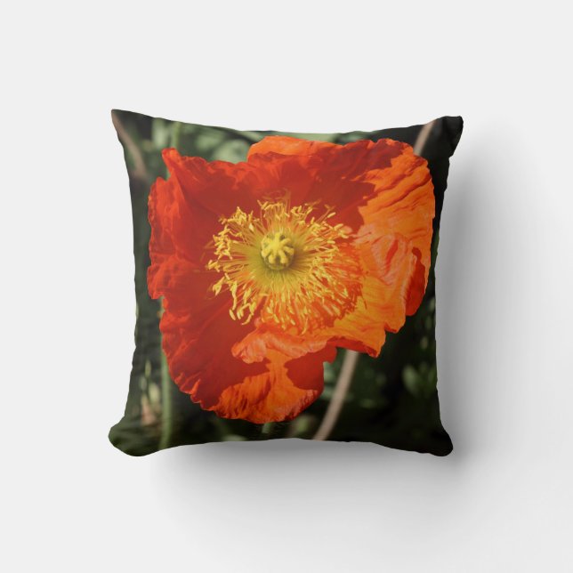 Welsh Poppy (Orange) Cushion (Front)