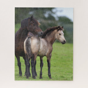 Welsh Section D Mare and Foal Standing Jigsaw Puzzle