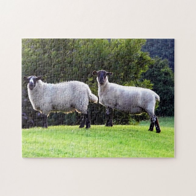 Welsh Sheep Jigsaw Puzzle (Horizontal)