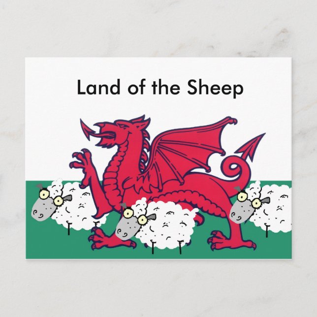 welsh sheep, Land of the Sheep Postcard (Front)