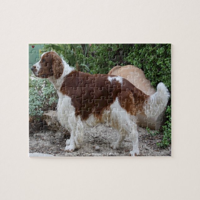 Welsh Springer Our Family Pet Jigsaw Puzzle (Horizontal)