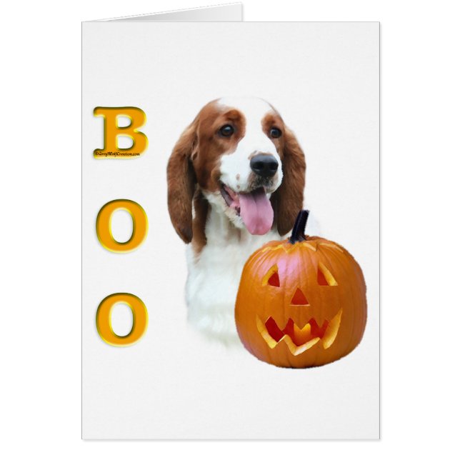 Welsh Springer Spaniel Boo (Front)