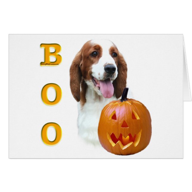 Welsh Springer Spaniel Boo (Front Horizontal)