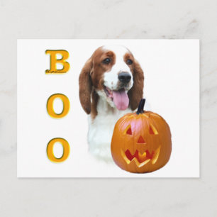 Welsh Springer Spaniel Boo Postcard