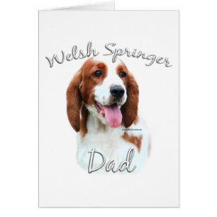 Welsh Springer Spaniel Dad 2