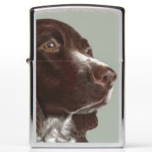 Welsh Springer Spaniel dog Zippo lighter