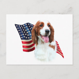 Welsh Springer Spaniel Flag Postcard