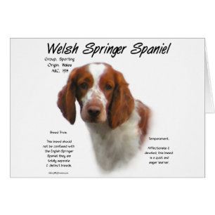 Welsh Springer Spaniel History Design