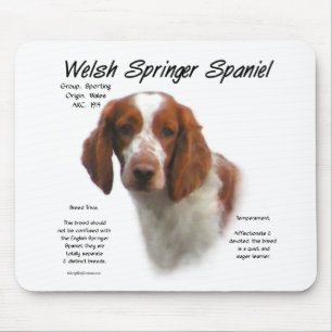 Welsh Springer Spaniel History Design Mouse Pad
