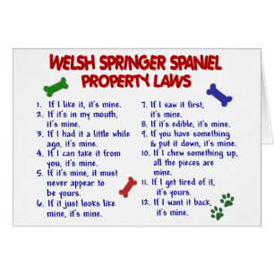 WELSH SPRINGER SPANIEL Property Laws 2